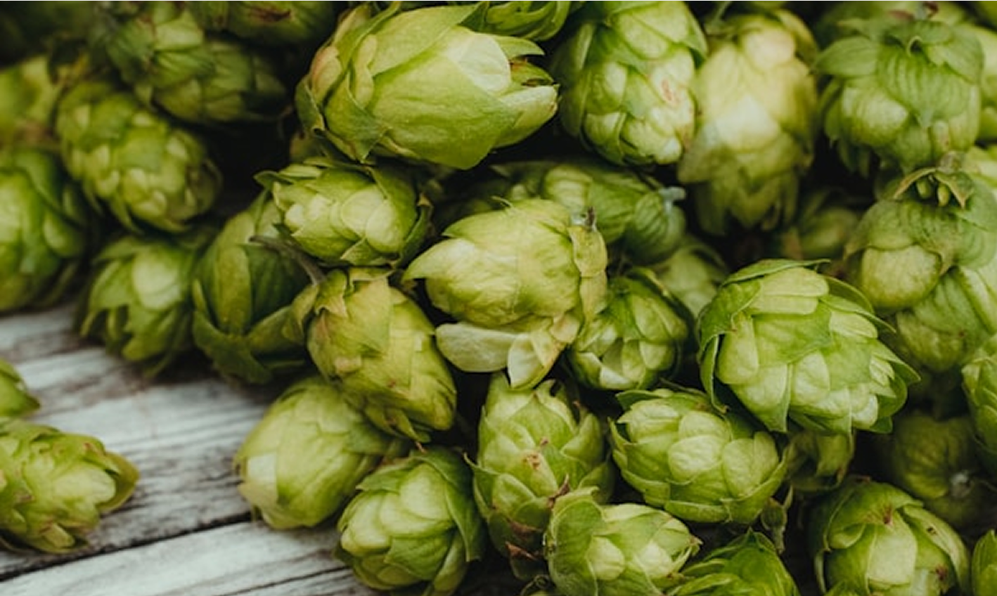 Con notas florales y herbales - Rivera Reposada